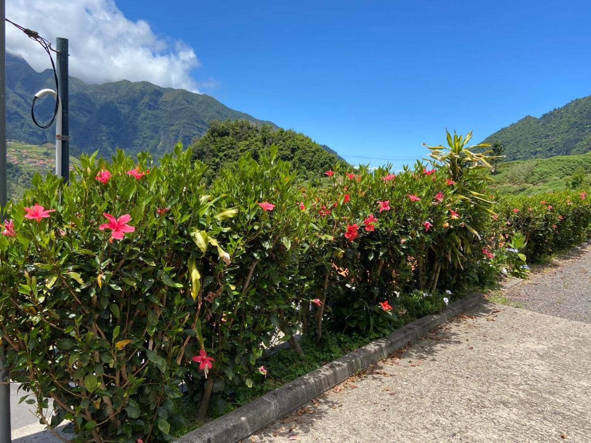 Zef's Cottage São Vicente Buitenkant foto